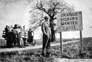 "The Grapes of Wrath" fue estrenada como una película en 1940